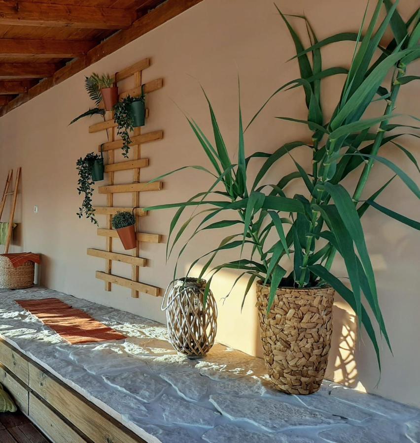 Holiday House Barba - Vrana Pakostane Ngoại thất bức ảnh